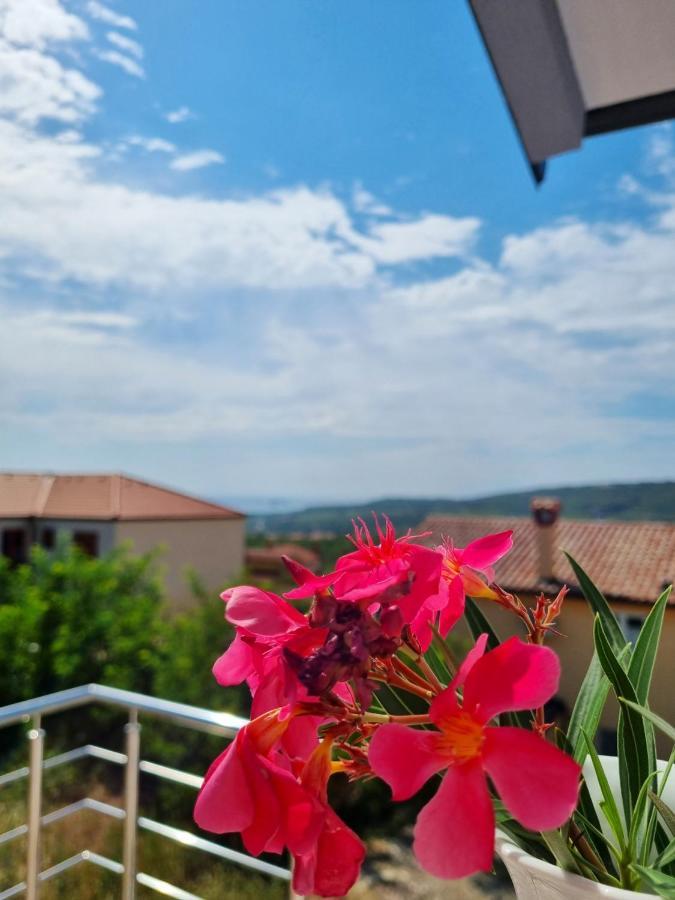 Vila Ines Zgornje Skofije Exterior foto