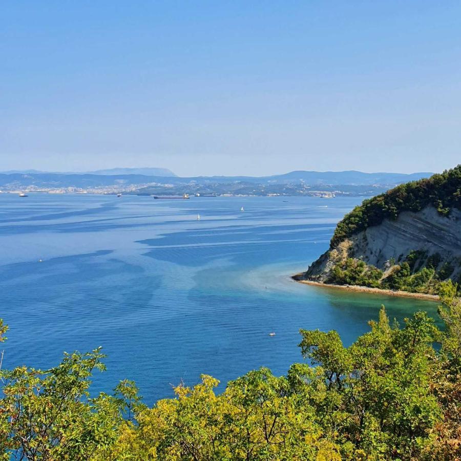 Vila Ines Zgornje Skofije Exterior foto